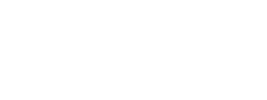 Agent de sécurité Lyon 2